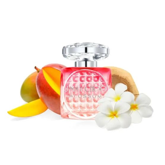 perfume jimmy choo blossom feminino eau de parfum